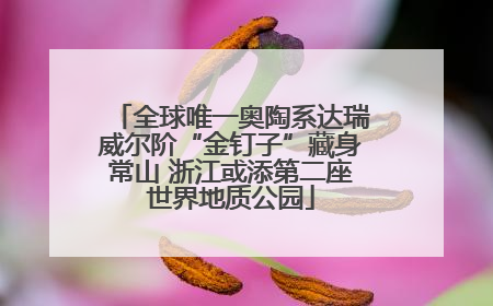 全球唯一奥陶系达瑞威尔阶“金钉子”藏身常山 浙江或添第二座世界地质公园