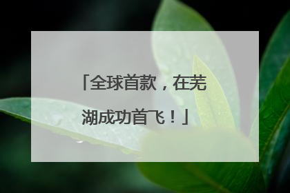 全球首款，在芜湖成功首飞！