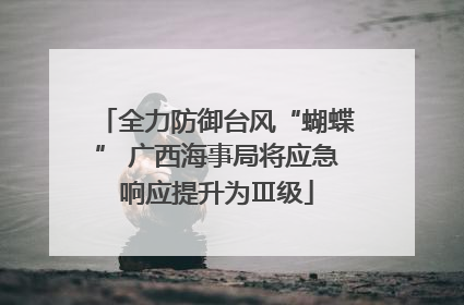 全力防御台风“蝴蝶” 广西海事局将应急响应提升为Ⅲ级