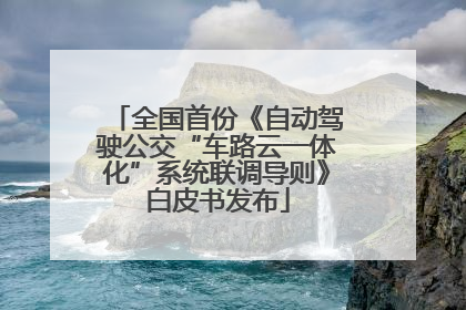 全国首份《自动驾驶公交“车路云一体化”系统联调导则》白皮书发布