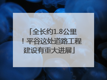 全长约1.8公里！平谷这处道路工程建设有重大进展