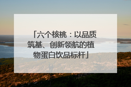 六个核桃：以品质筑基、创新领航的植物蛋白饮品标杆