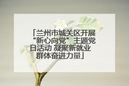 兰州市城关区开展“新心向党”主题党日活动 凝聚新就业群体奋进力量