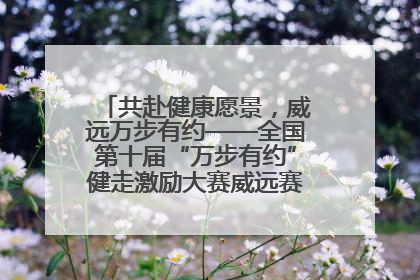 共赴健康愿景，威远万步有约——全国第十届“万步有约”健走激励大赛威远赛区启动仪式