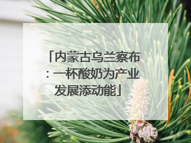 内蒙古乌兰察布：一杯酸奶为产业发展添动能