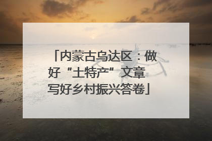 内蒙古乌达区：做好“土特产”文章 写好乡村振兴答卷