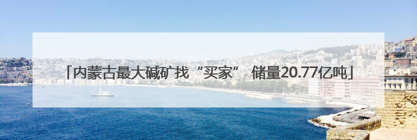 内蒙古最大碱矿找“买家” 储量20.77亿吨