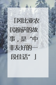 冈比亚农民穆萨的故事，是“中非友好的一段佳话”
