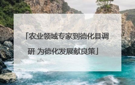 农业领域专家到德化县调研 为德化发展献良策