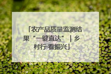 农产品质量监测结果“一键直达”｜乡村行·看振兴