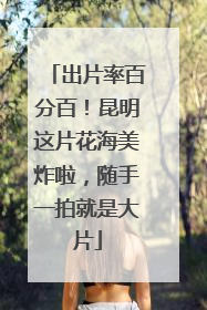 出片率百分百！昆明这片花海美炸啦，随手一拍就是大片