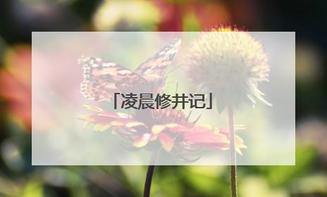 凌晨修井记