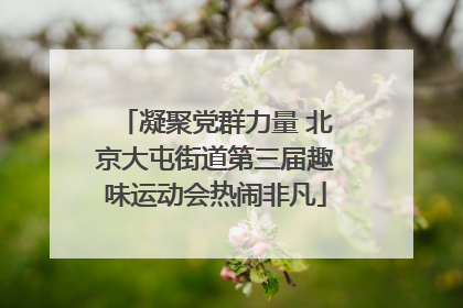 凝聚党群力量 北京大屯街道第三届趣味运动会热闹非凡