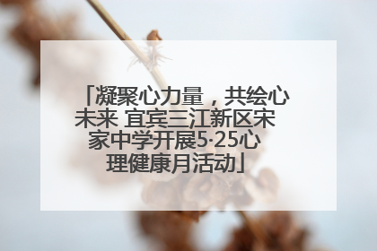 凝聚心力量，共绘心未来 宜宾三江新区宋家中学开展5·25心理健康月活动