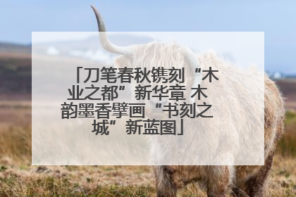 刀笔春秋镌刻“木业之都”新华章 木韵墨香擘画“书刻之城”新蓝图