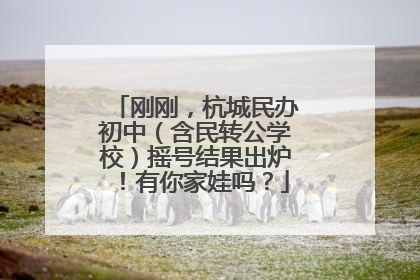 刚刚，杭城民办初中（含民转公学校）摇号结果出炉！有你家娃吗？
