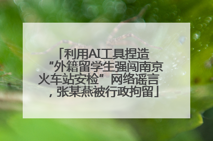 利用AI工具捏造 “外籍留学生强闯南京火车站安检”网络谣言，张某燕被行政拘留