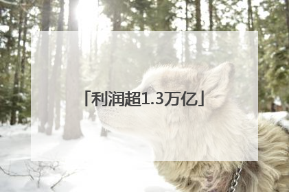利润超1.3万亿