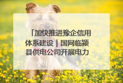 加快推进豫企信用体系建设｜国网临颍县供电公司开展电力行业信用企业现场咨询访谈工作