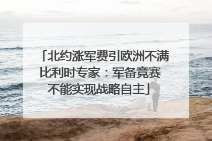 北约涨军费引欧洲不满 比利时专家：军备竞赛不能实现战略自主