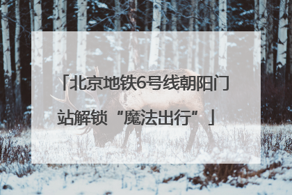 北京地铁6号线朝阳门站解锁“魔法出行”