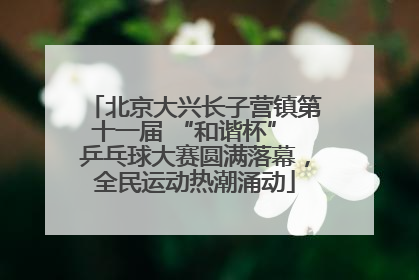 北京大兴长子营镇第十一届 “和谐杯” 乒乓球大赛圆满落幕，全民运动热潮涌动