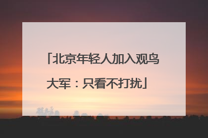 北京年轻人加入观鸟大军：只看不打扰