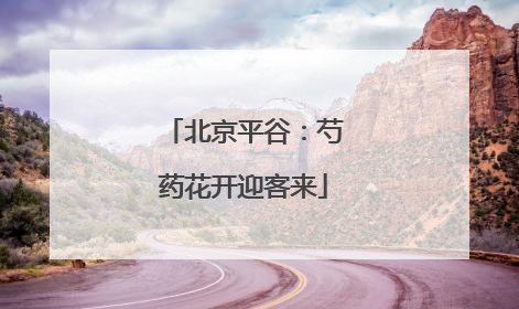 北京平谷：芍药花开迎客来