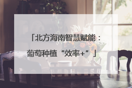 北方海南智慧赋能：葡萄种植“效率+”