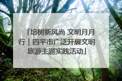 培树新风尚 文明月月行｜四平市广泛开展文明旅游主题实践活动