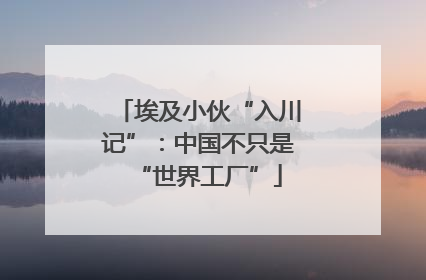 埃及小伙“入川记”：中国不只是“世界工厂”