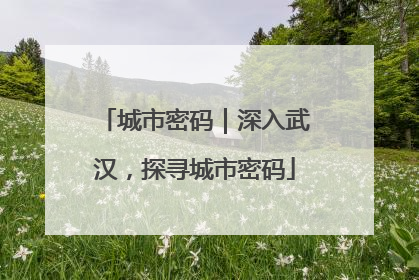 城市密码｜深入武汉，探寻城市密码