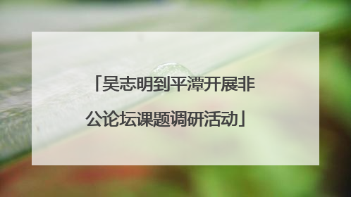 吴志明到平潭开展非公论坛课题调研活动