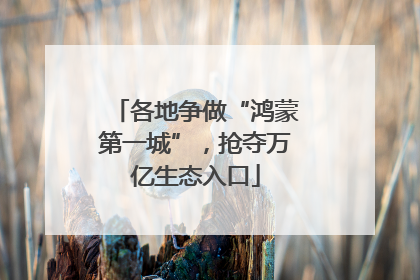 各地争做“鸿蒙第一城”，抢夺万亿生态入口