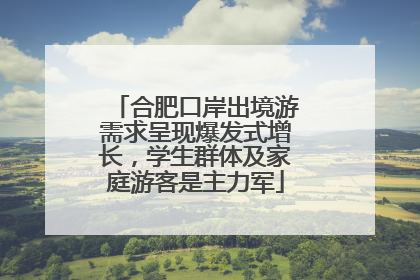 合肥口岸出境游需求呈现爆发式增长，学生群体及家庭游客是主力军
