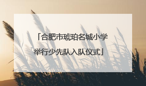 合肥市琥珀名城小学举行少先队入队仪式