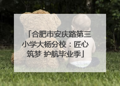 合肥市安庆路第三小学大杨分校：匠心筑梦 护航毕业季