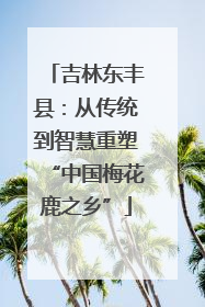 吉林东丰县：从传统到智慧重塑“中国梅花鹿之乡”