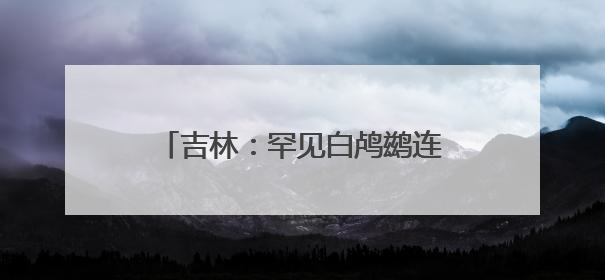 吉林：罕见白鸬鹚连续两年“故地重游”