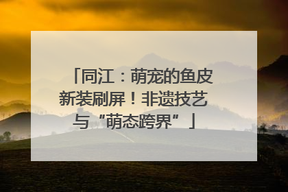 同江：萌宠的鱼皮新装刷屏！非遗技艺与“萌态跨界”