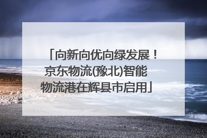 向新向优向绿发展！京东物流(豫北)智能物流港在辉县市启用