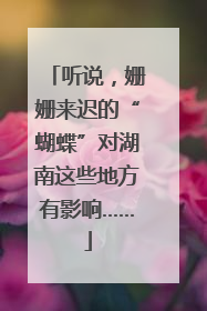 听说，姗姗来迟的“蝴蝶”对湖南这些地方有影响……