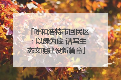 呼和浩特市回民区：以绿为底 谱写生态文明建设新篇章