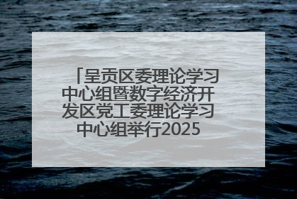 呈贡区委理论学习中心组暨数字经济开发区党工委理论学习中心组举行2025年第七次学习会议