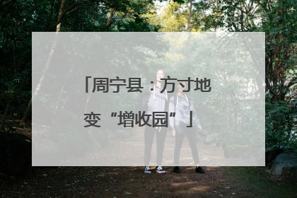 周宁县：方寸地变“增收园”
