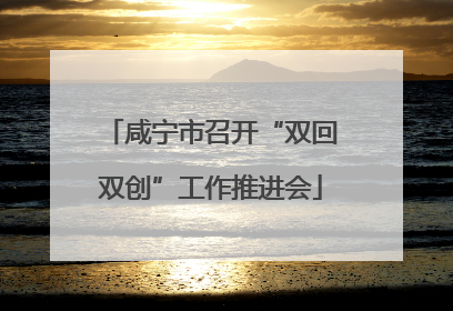 咸宁市召开“双回双创”工作推进会