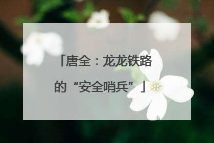 唐全：龙龙铁路的“安全哨兵”