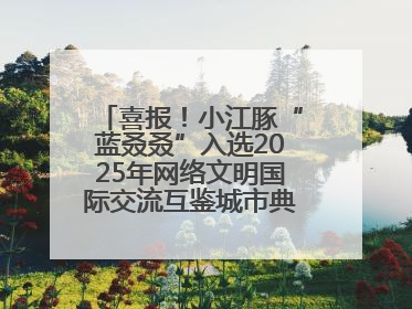 喜报！小江豚“蓝叒叒”入选2025年网络文明国际交流互鉴城市典型案例