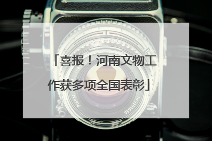 喜报！河南文物工作获多项全国表彰