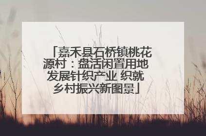 嘉禾县石桥镇桃花源村：盘活闲置用地发展针织产业 织就乡村振兴新图景